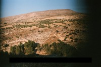 http://www.yazankhalili.com/files/gimgs/th-13_on-love-and-other-landscapes-26.jpg