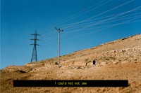 http://www.yazankhalili.com/files/gimgs/th-13_on-love-and-other-landscapes-73.jpg