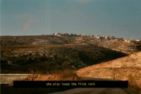 http://www.yazankhalili.com/files/gimgs/th-13_on-love-and-other-landscapes-82.jpg